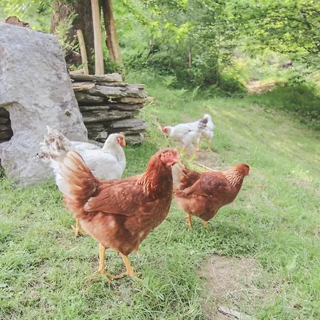 Baita Gigliola Σαλέ Livo (Lombardy)